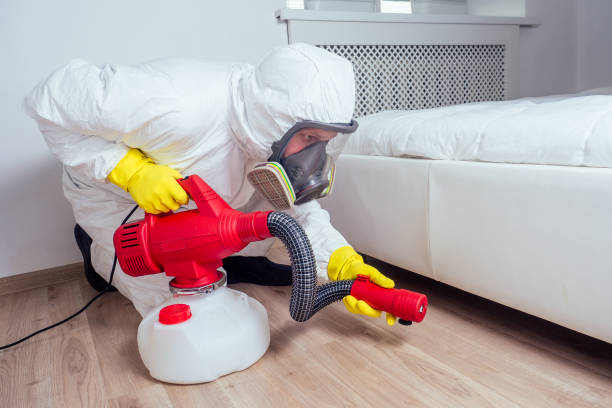 Wasp Removal Services in Crosby, TX