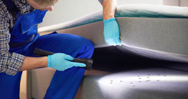Best Pest Inspection Near Me  in Crosby, TX